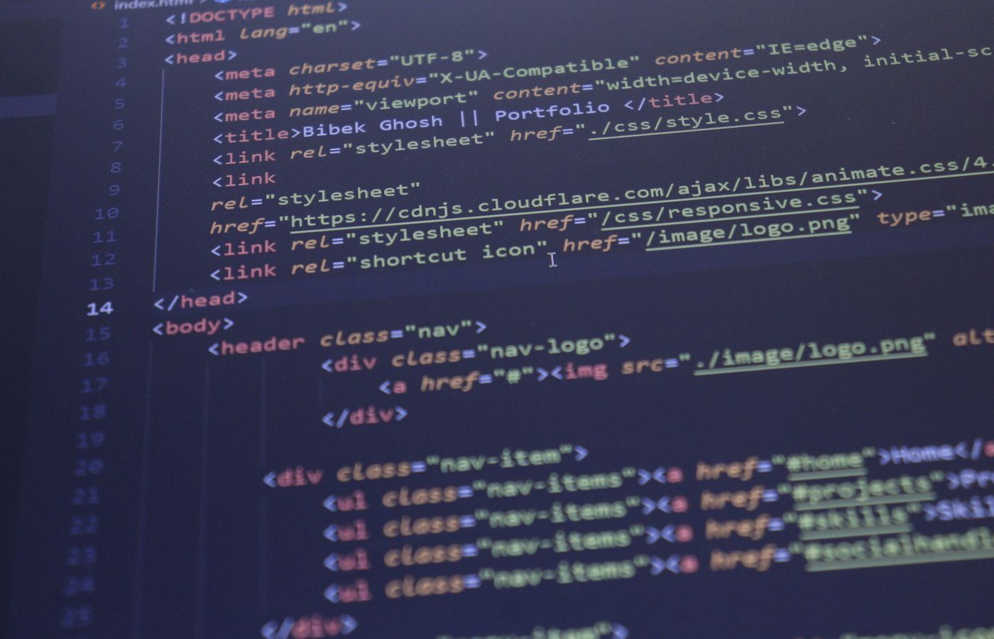 ERP Development Module prioritisation process