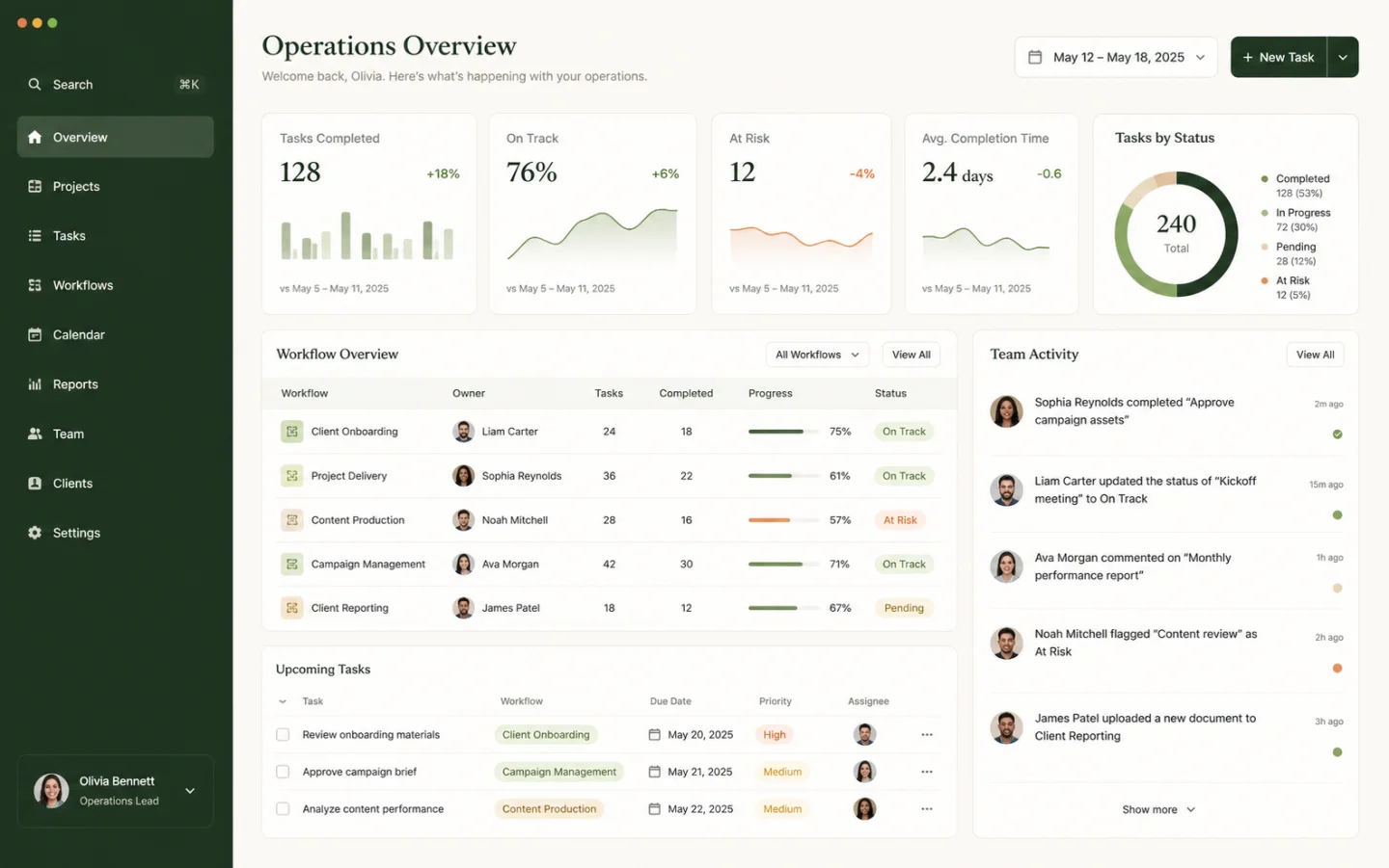 SaaS operations dashboard with workflows analytics and team activity